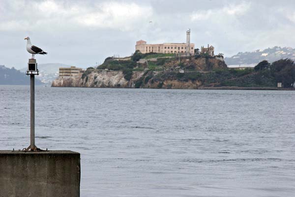 san-francisco-alcatraz